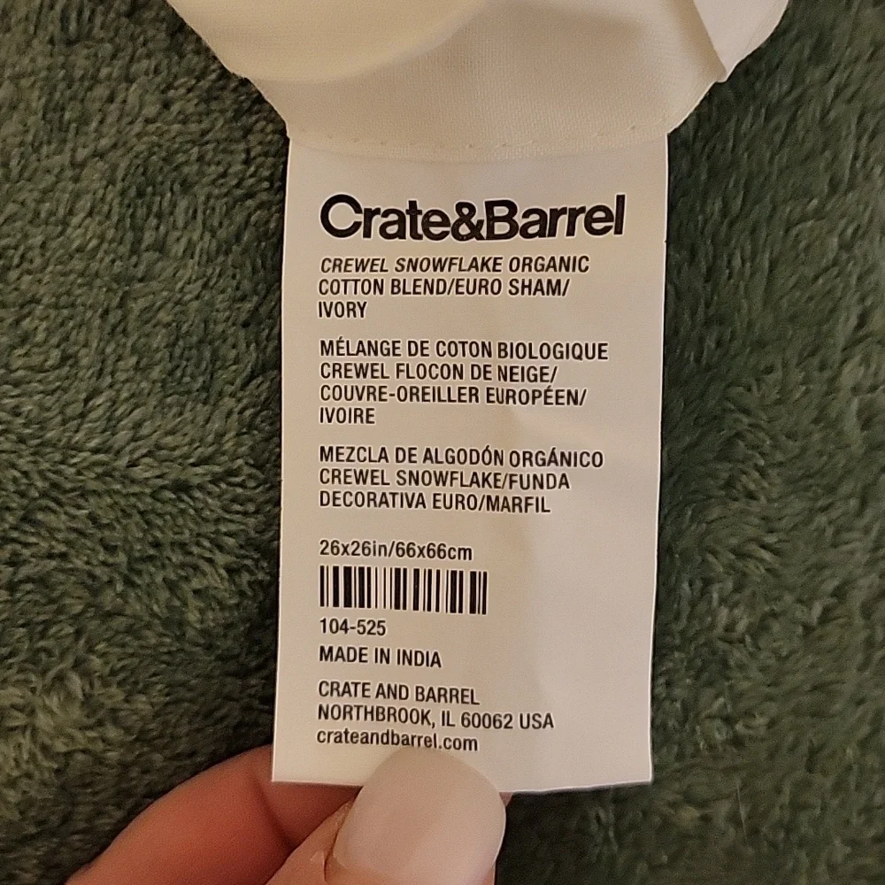 Crate&Barrel Organic Cotton Ivory Euro Sham